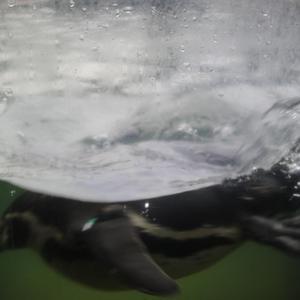 黄色在线视频播放
