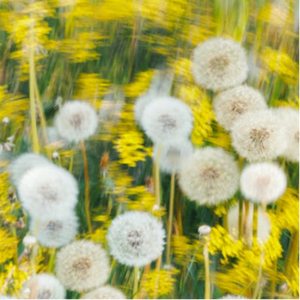 黄色在线视频播放
